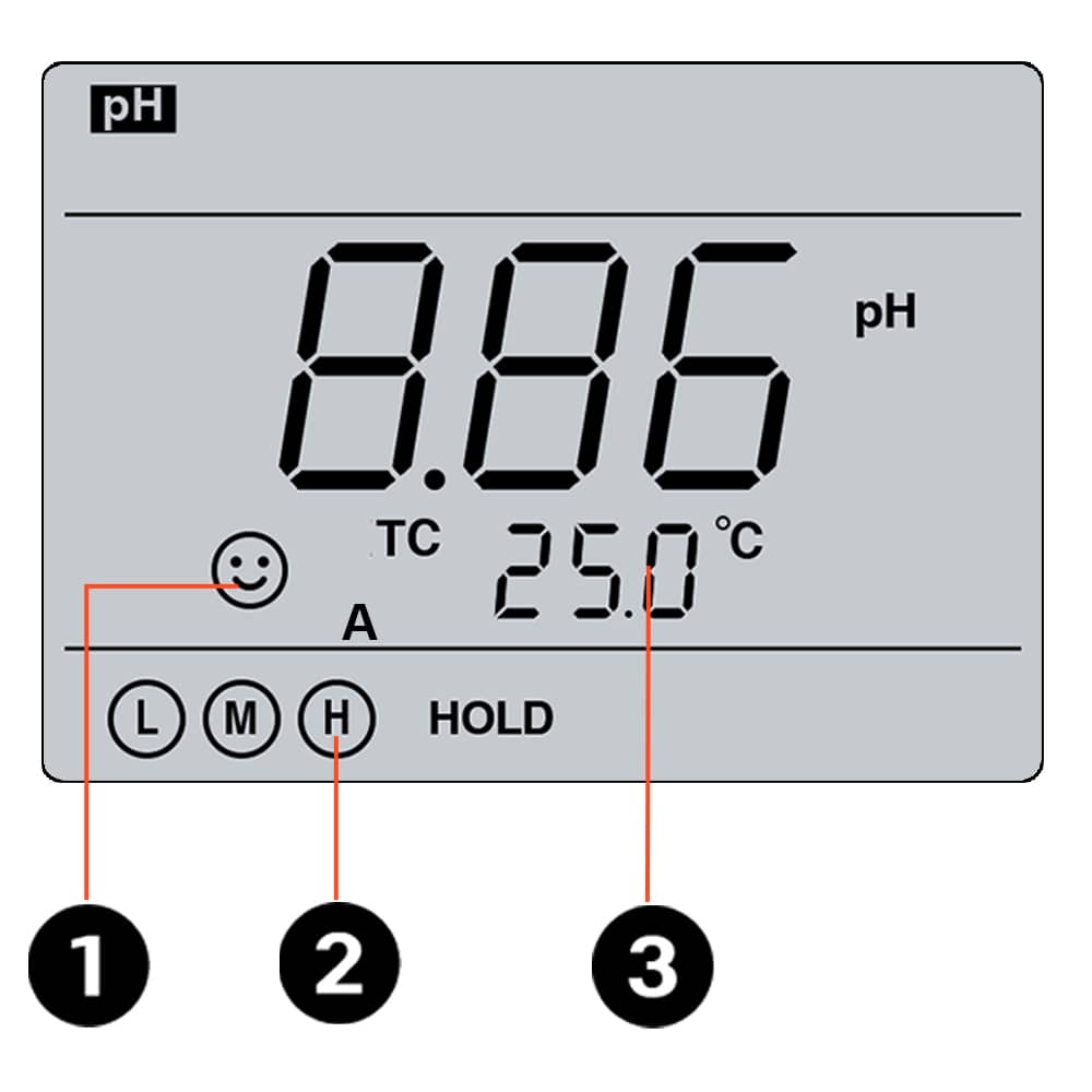 Large LCD Display