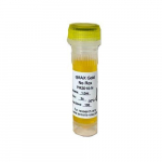 One-Step RT-PCR Kit, 100 Reactions{part}
