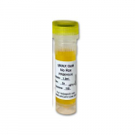 Green One-Step Kit, High Rox, 1000 Reactions{part}