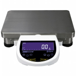 Eclipse 16000g Precision Balance{part}