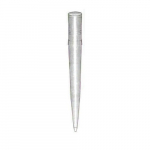 Eppendorf Pipet Tip 101-1000 Microliters - Racked_noscript