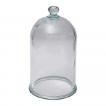 6" x 11" Glass Bell Jar with Knob