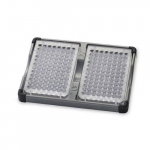 Double Microplate Holder{part}
