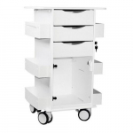 Core DX Cart with Hinged Door, White_noscript