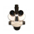 Additional image #1 for Meiji Techno EM-33/HEAD