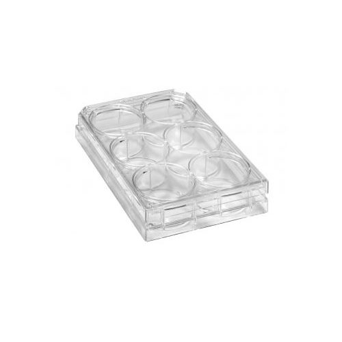 Bellco Glass 130000309 6Well Plates With Lids Polystyrene Type 6